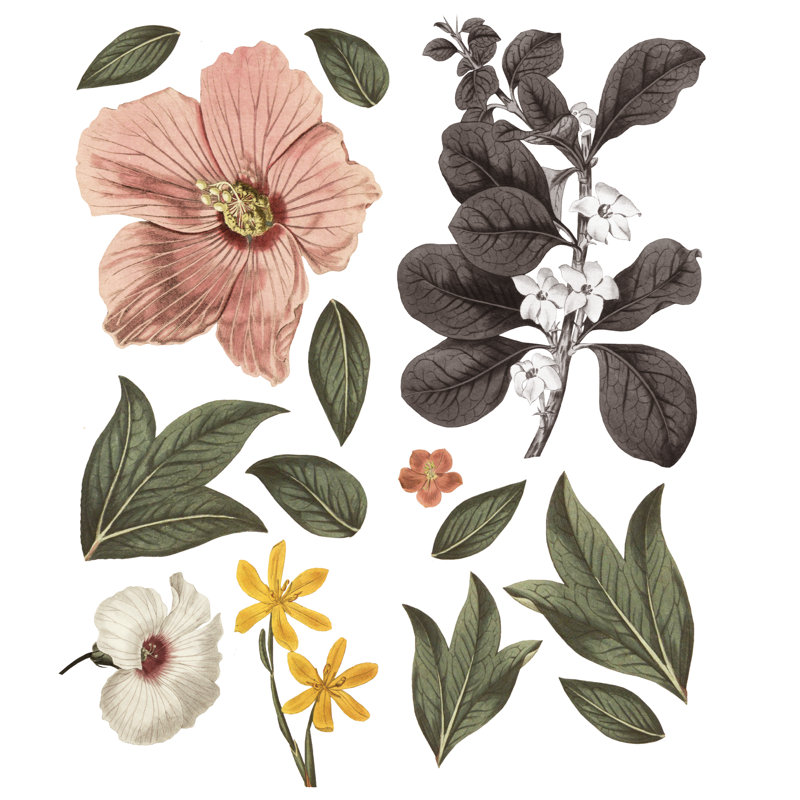 Urban Walls Eden Wall Decal Wayfair